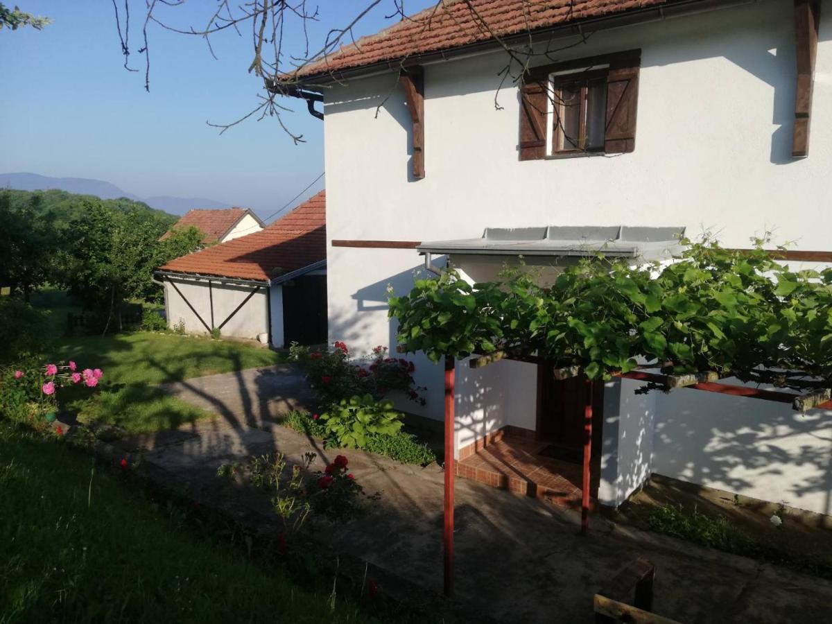 Vila Vikendica I Vajat Vrbica Kalesija Exteriér fotografie