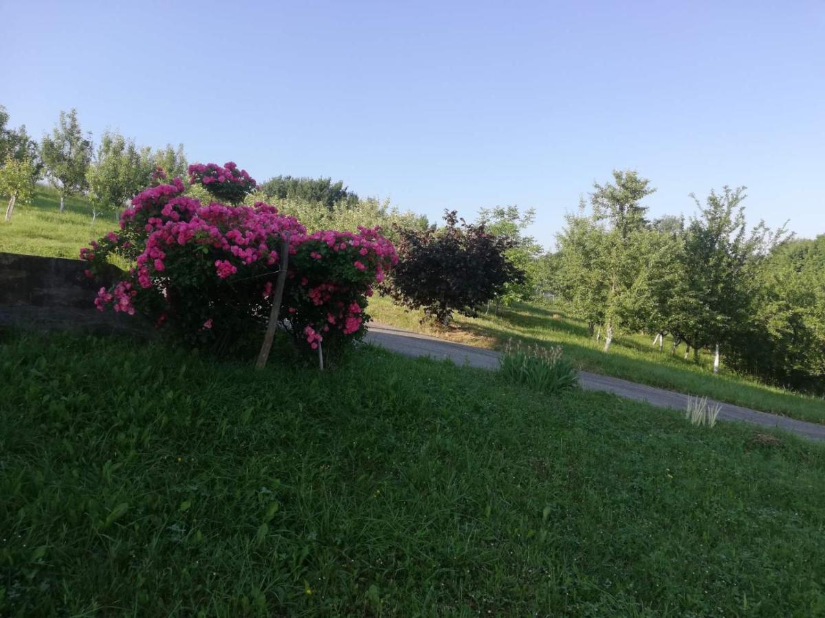 Vila Vikendica I Vajat Vrbica Kalesija Exteriér fotografie