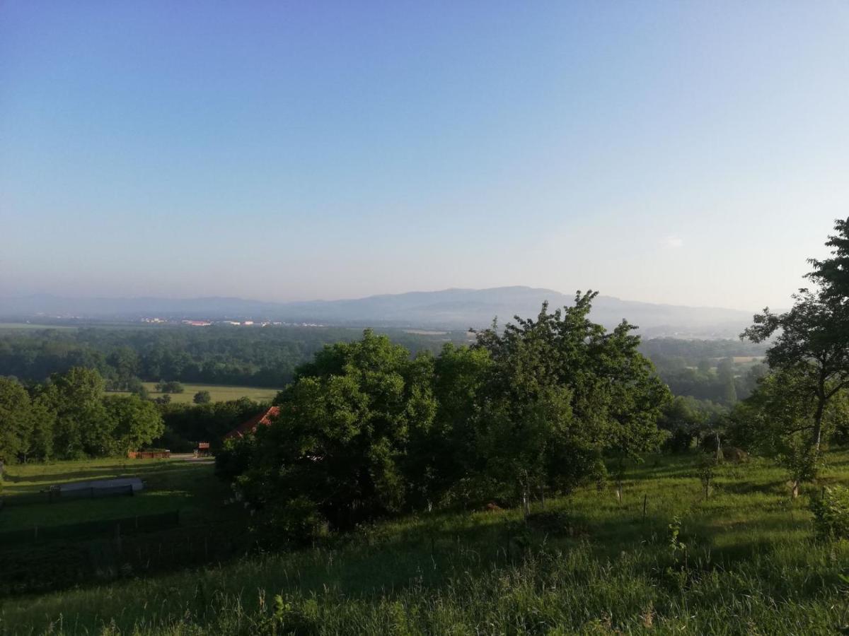 Vila Vikendica I Vajat Vrbica Kalesija Exteriér fotografie