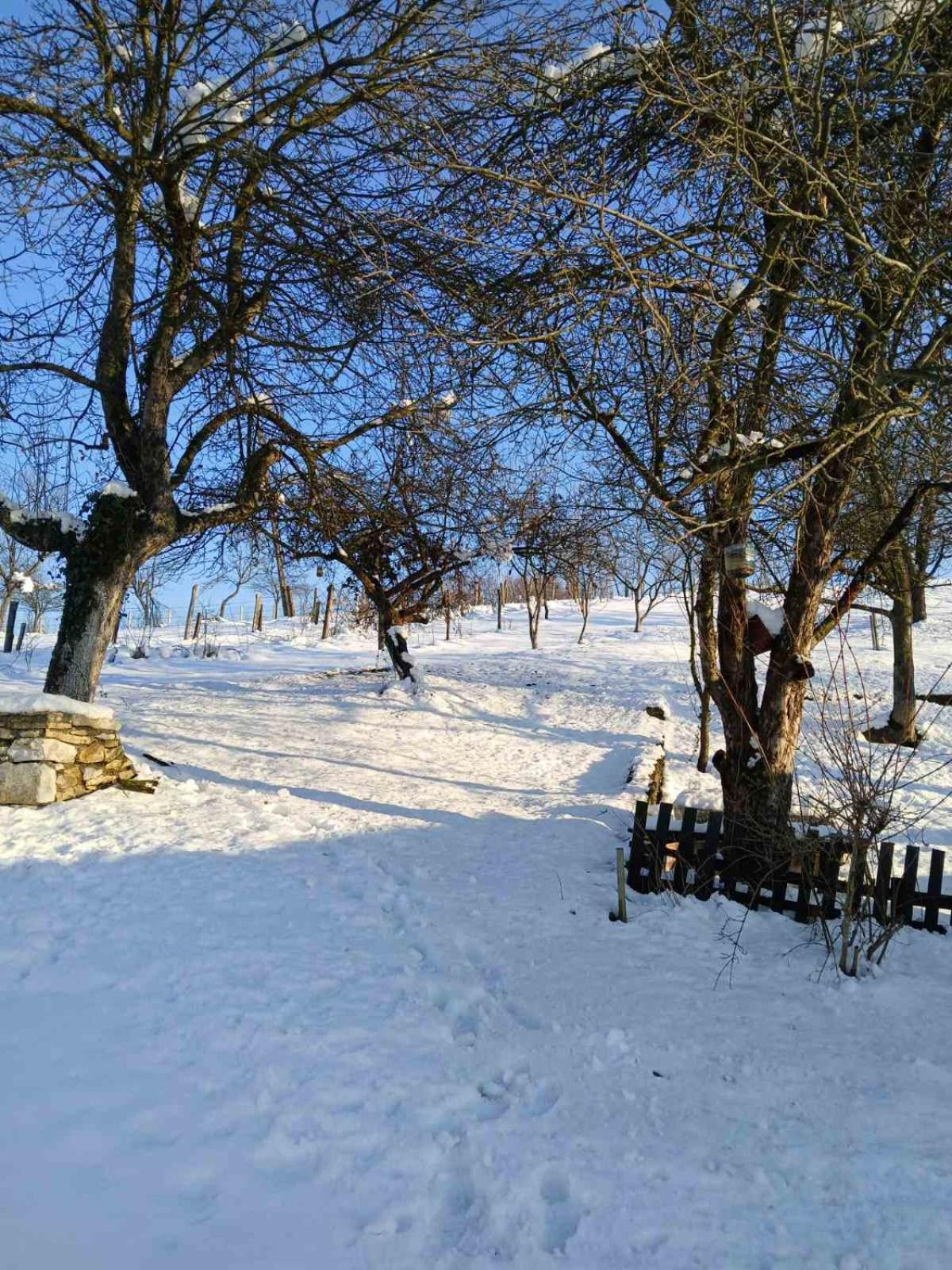 Vila Vikendica I Vajat Vrbica Kalesija Exteriér fotografie